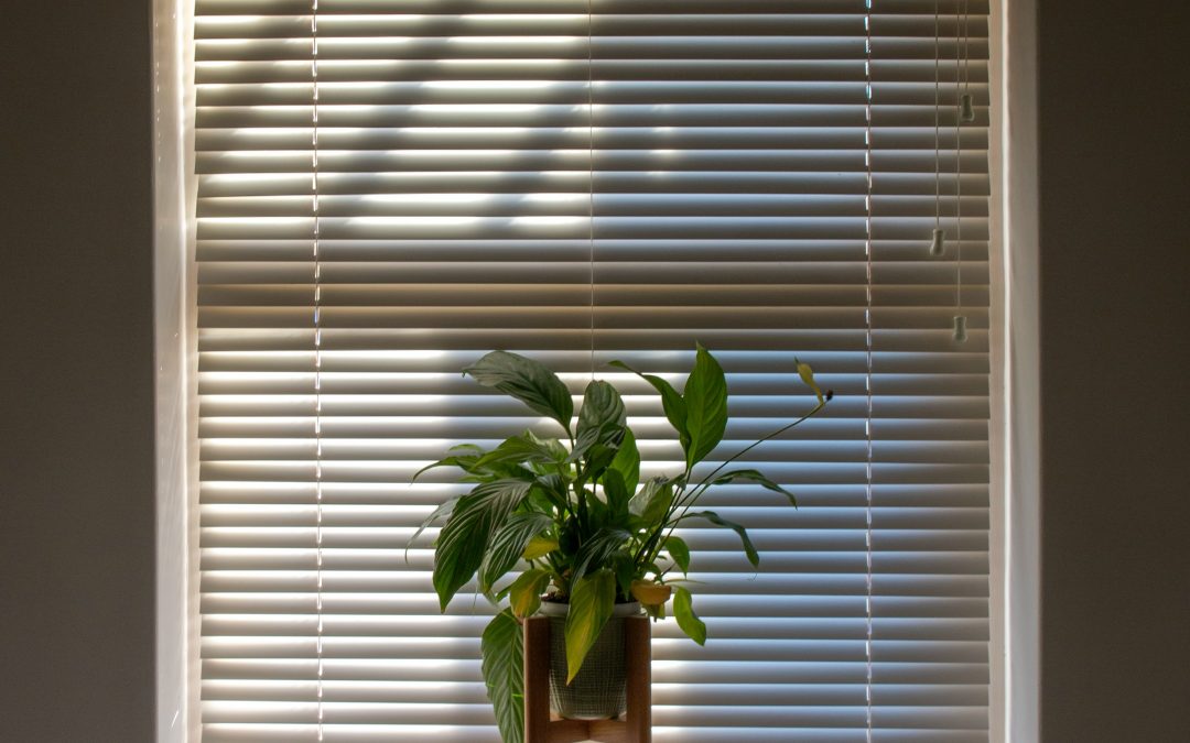 6 Things To Consider When Selecting Window Treatments
